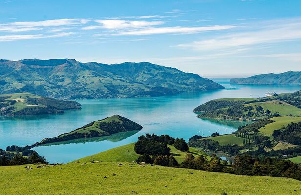 Akaroa Private Day Tour From Christchurch (Carbon Neutral)
