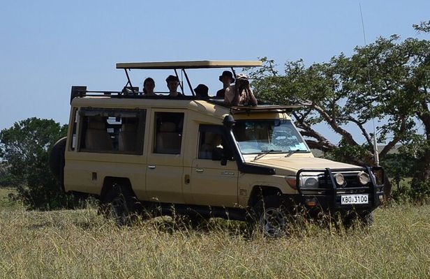 Nairobi Park Wildlife Safari