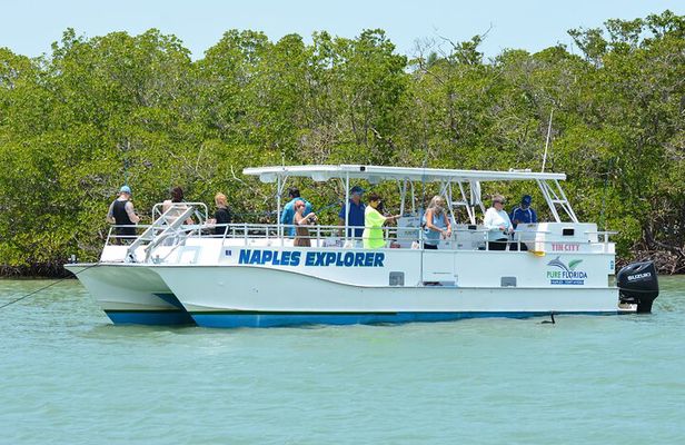 Naples Backwater/Calm Bay Fishing