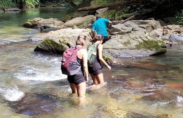 Avocat Waterfall and Beach Tour