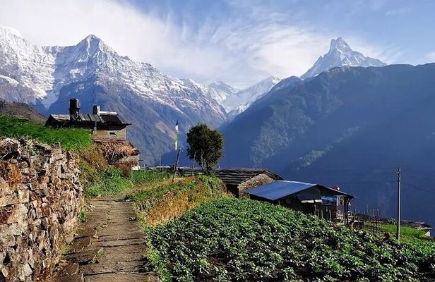 Multi-Day Ghandruk Trek in Pokhara
