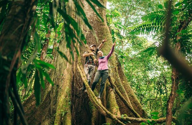 4 Days Cuyabeno Amazon Experience at Waita Lodge