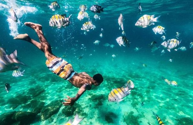 Angra dos Reis and Ilha Grande Boat Tour from Rio de Janeiro