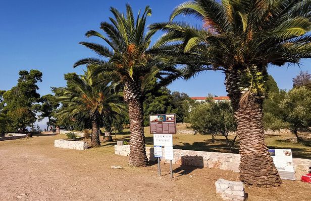 Guided Speedboat Tour with Food, Oil & Wine Tasting