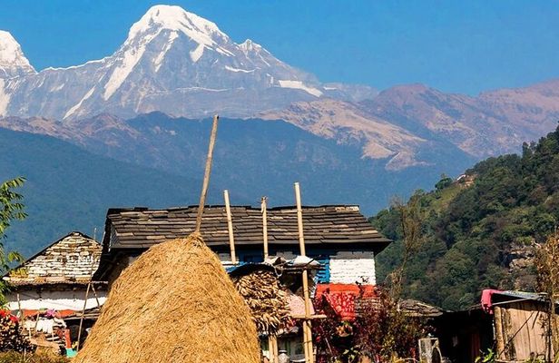 Luwang Village Home Stay Easy Trek with Tea Garden Visit