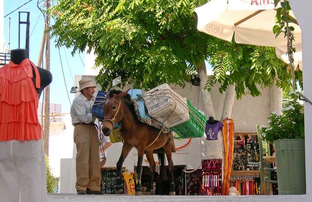 Explore Paros Island: Private Experience