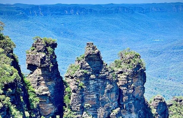 Blue Mountains Small Group Tour: Wildlife, Scenic World & Lunch