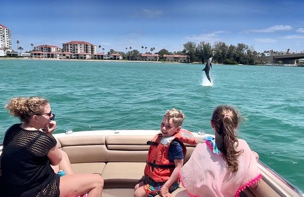 Private Dolphin & Architecture Tour in St. Petersburg, Fl