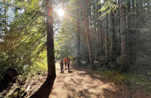 Nature Walks in Pacific