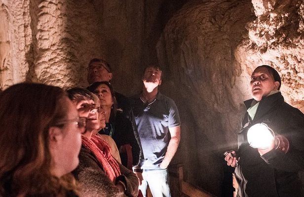 Glow Worm Caves Express Tour in Bay of Islands