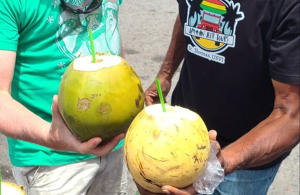 Half Day Cultural Jeep Beach Adventure - 4 Hr Tour St. Thomas