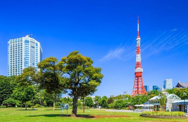 Private Transfer for Custom Day Tour in Tokyo