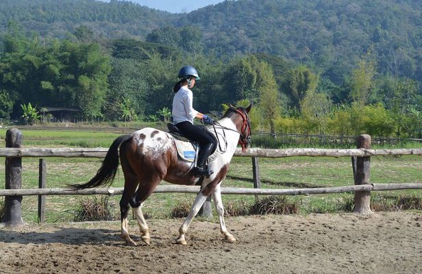 Horse Lesson+Riding+Wat Tonkwen wooden temple.Chiangmai