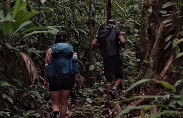Full-Day Adventure in Corcovado National Park from Drake Bay