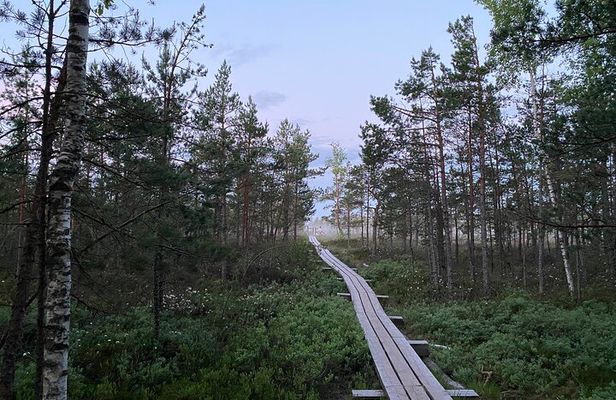 From Riga: Kemeri Bog Boardwalk and Jurmala Seaside