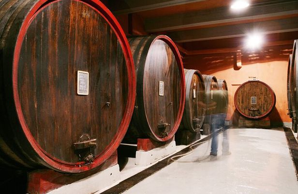 Private Tour in the Cellar and Tasting of Langhe Wines