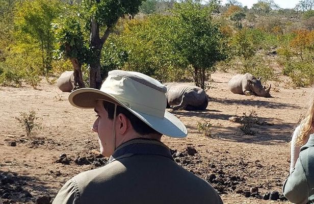 3 Hour Game Drive in Mosi-Oa-Tunya National Park