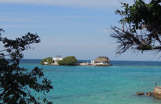 Island Hopping Snorkel Paradise VIP service ( Sports Boat )