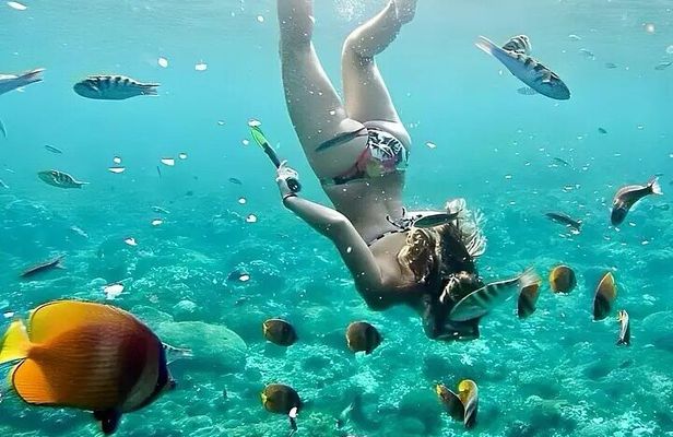 Bali Blue Lagoon Snorkeling with All - Inclusive Tour