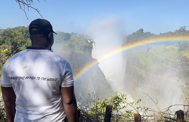 Victoria Falls: Private Guided Tour of the Falls