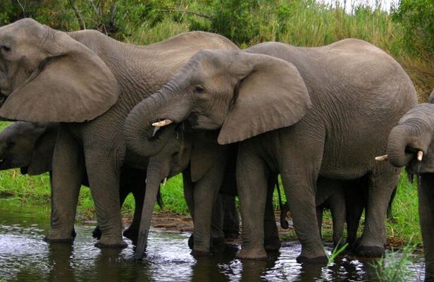 Garden Route Private 3 Day Tour from Cape Town Safari and Hiking