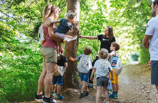 Bled Family Adventure – Enchanted Forest Kids Experience