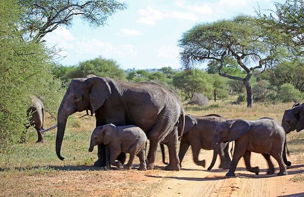 5 Day Garden Route Small Group Tour Fr CapeTown - Departs Mondays
