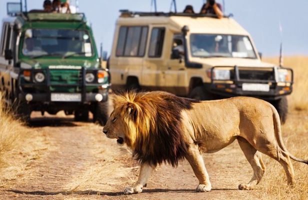 4 Days Private Tour at Kruger National Park & Blyde River Canyon
