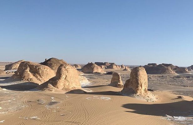 Tour Through White and Black desert Bahareya oasis