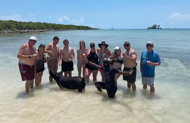 All Inclusive Swimming With The Pigs 