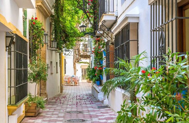 Private Custom Tour With a Local Guide Marbella