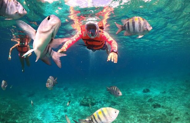 Official Chankanaab Park Admission and Snorkeling with Lunch