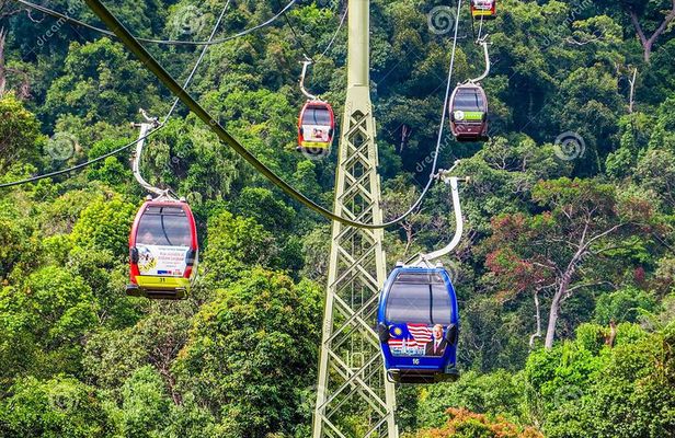Combo : Cable Car Ride & Sky Bridge And ATV Ride To Waterfalls