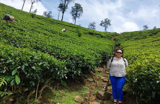Sri lanka Week In Paradise