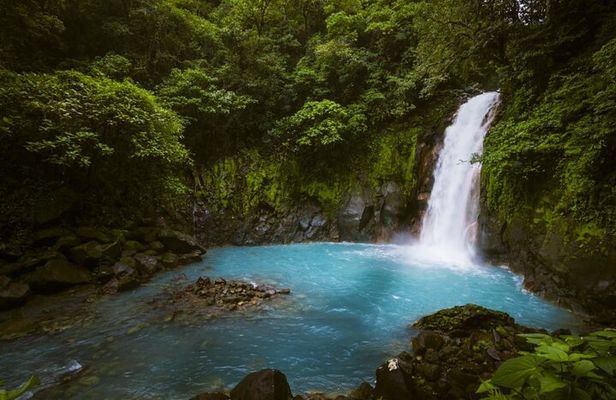 Rio Celeste and Tenorio National Park Hike