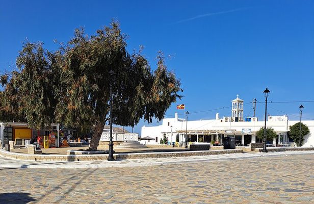 Mykonos island tour in small group up to 11 people.