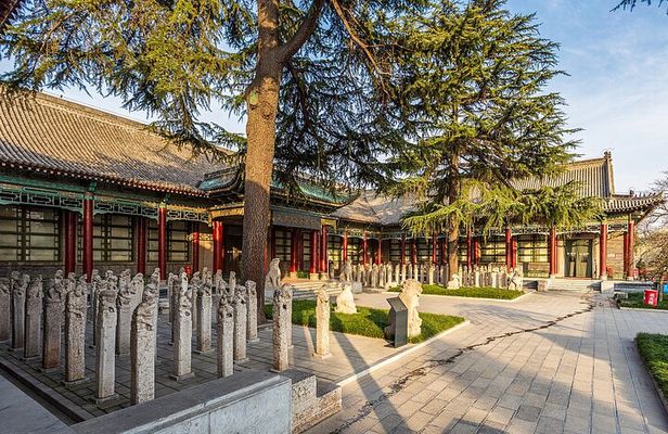 Xi'an Cultural Tour: Highlights of Museums Collection