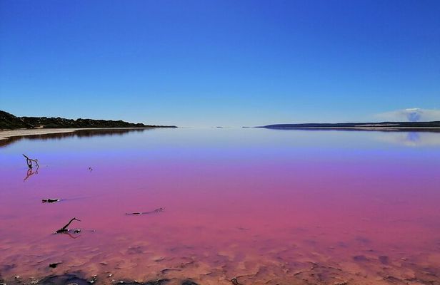 3 Day Pink Lake and Margaret River tour