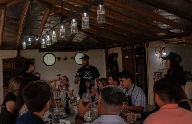 Gastronomic experience with barbecue class in Mendoza.