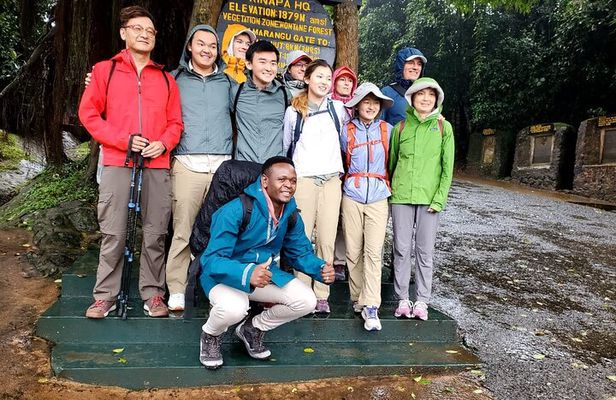 Private Full Day Hiking Experience to Marangu Route