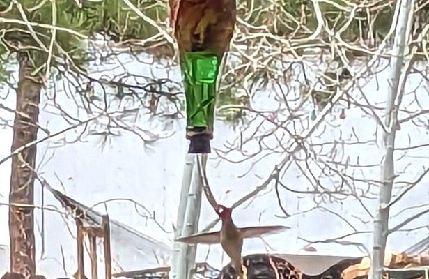 Hydro Dipped Hummingbird Feeder