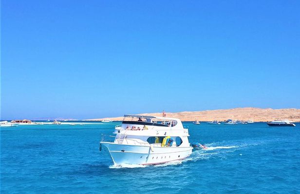 Dolphin House: Swim with Dolphins in Hurghada 