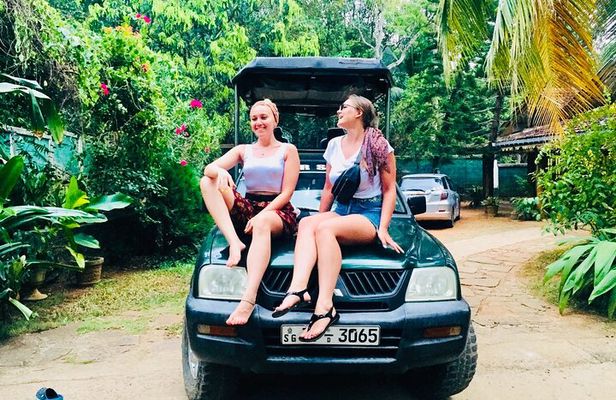 Private Safari Tour in Udawalawe National Park