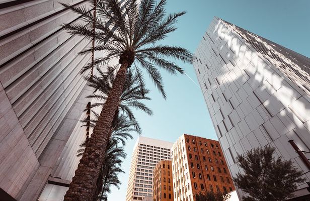 Private tour of Phoenix