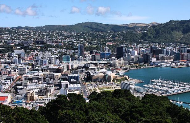 Private custom tour with a local guide Wellington