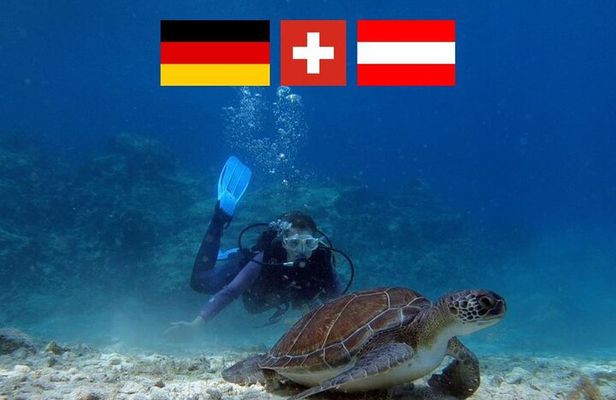 Introductory diving in small groups