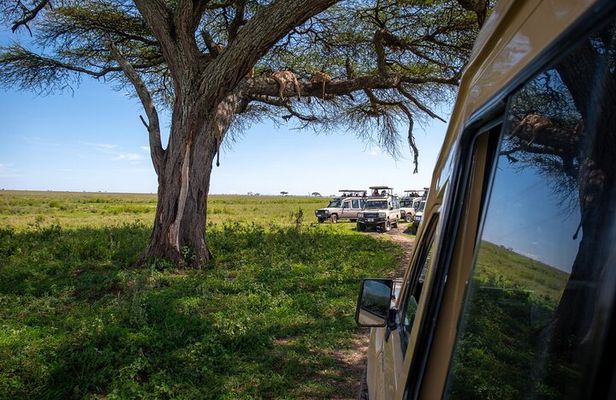 3 Days Group Safari Serengeti & Ngorongoro