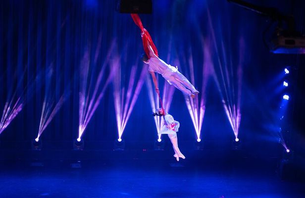 Amazing Acrobats: Grand Shanghai Circus Show