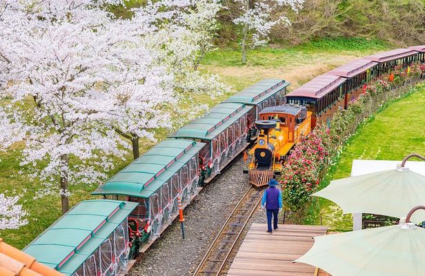 Jeju island private DAY Tour - South of Jeju