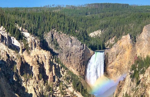 Private Yellowstone Tour: ICONIC Sites, Wildlife, Family Friendly Hikes + lunch